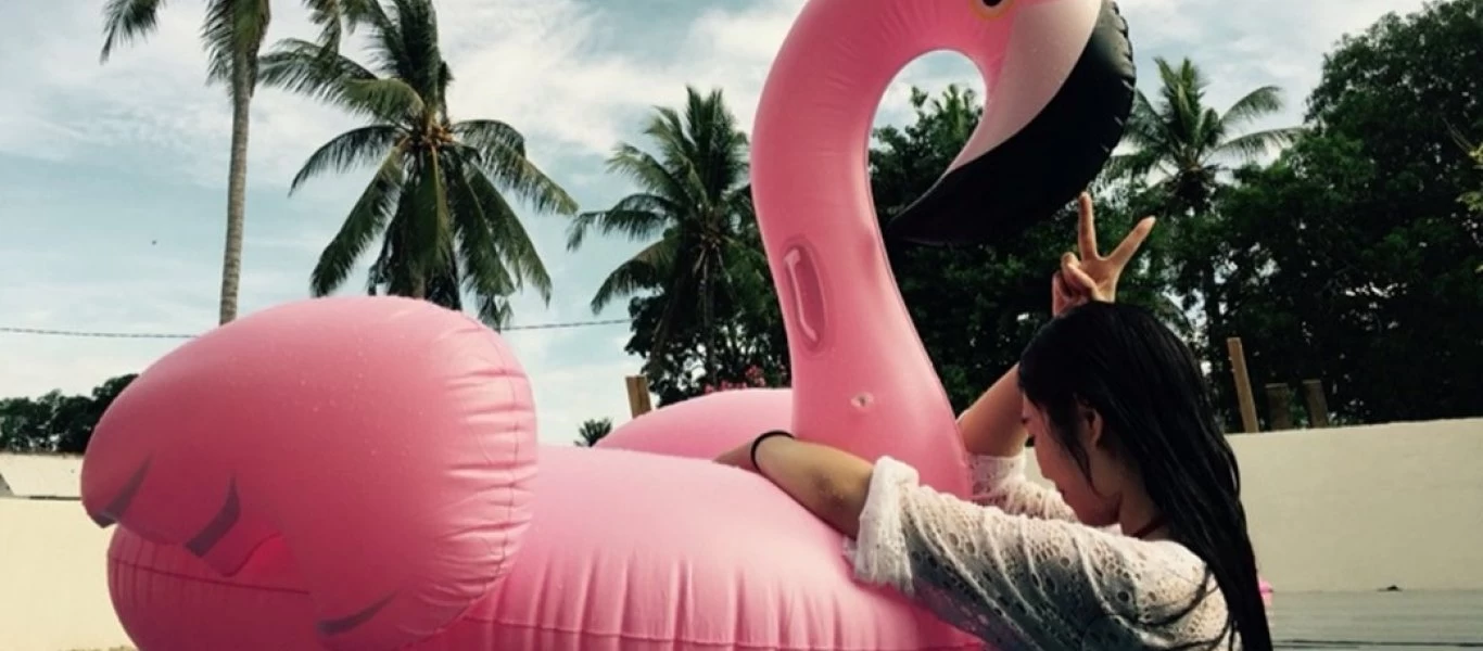 Γαλλία: Tου έκλεψαν την τραπεζική κάρτα και αγόρασαν...φουσκωτό φλαμίνγκο